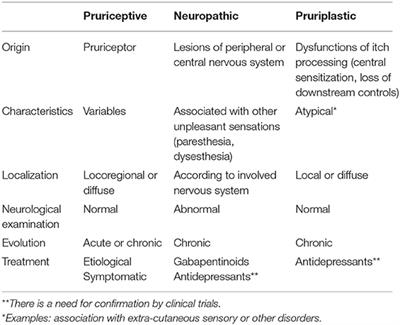 Pruriplastic Itch—A Novel Pathogenic Concept in Chronic Pruritus